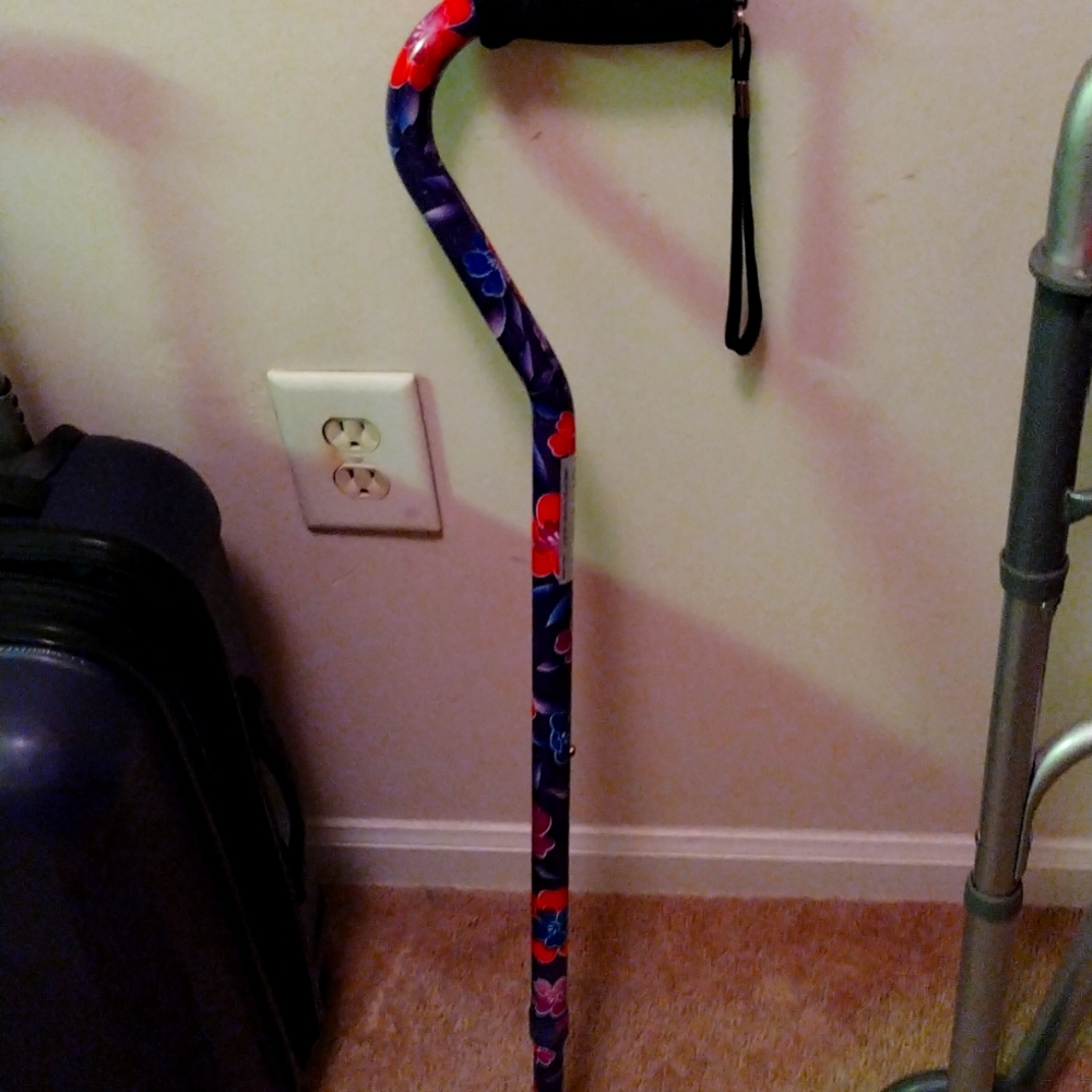 Cane